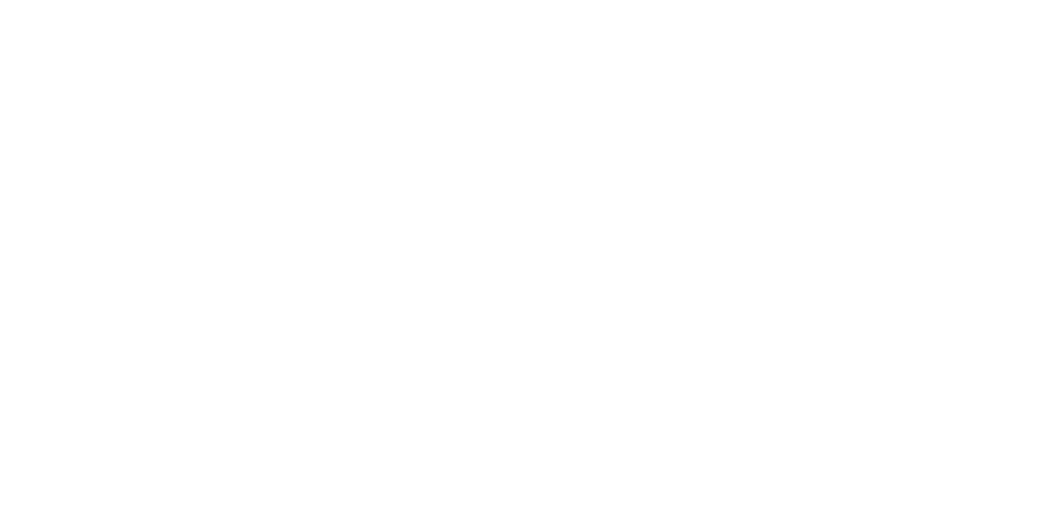 e-sto logo